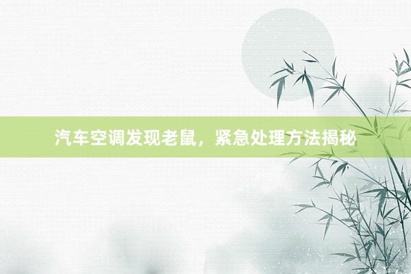 汽车空调发现老鼠，紧急处理方法揭秘